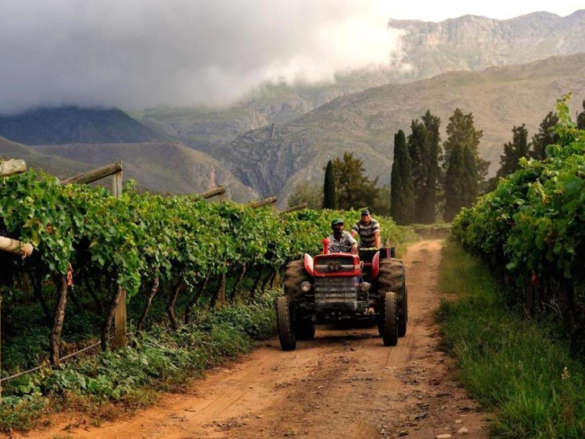 Mymering Wine & Guest Estate Ladismith Zewnętrze zdjęcie