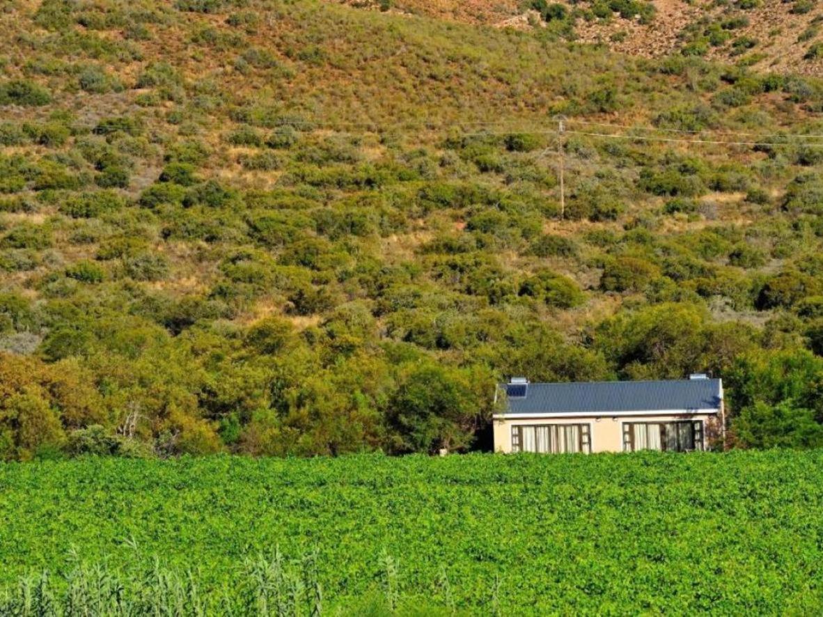 Mymering Wine & Guest Estate Ladismith Zewnętrze zdjęcie