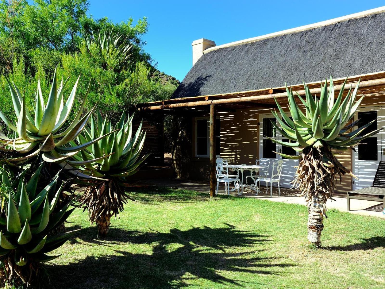 Mymering Wine & Guest Estate Ladismith Pokój zdjęcie