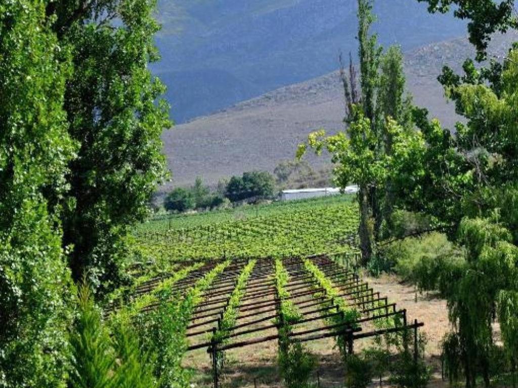 Mymering Wine & Guest Estate Ladismith Zewnętrze zdjęcie